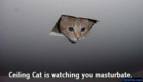 ceiling cat