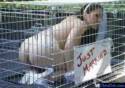 girls cage